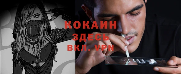 стаф Абаза