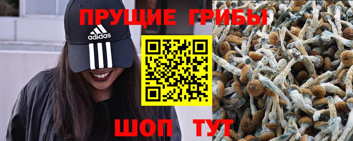 Галлюциногенные грибы MAGIC MUSHROOMS Алейск